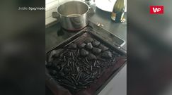 Najgorsze wpadki domorosłych kucharzy. Te zdjęcia bawią do łez