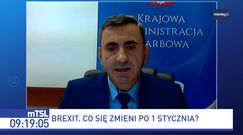 Brexit. Zmiany od nowego roku. "Będą nowe cła i formalności"