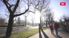 Zakopane. Przedsiębiorcy mówią o katastrofie. "To jest gwóźdź do trumny"