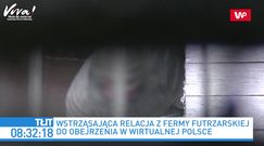 Wstrząsające nagrania z fermy norek. Reakcja Beaty Kempy