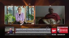 Dr Maciej Naskręt przyprowadza psa na oddział. Labrador koi nerwy medyków