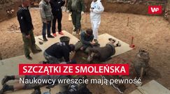 W Smoleńsku znaleziono szczątki. Badania DNA zdradziły do kogo należały