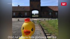 Gumowa kaczka na tle obozu Auschwitz-Birkenau. W sieci zawrzało