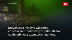Wielkie odkrycie na dnie Morza Bałtyckiego. Badacze długo na to czekali
