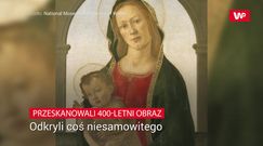 Przeskanowali obraz. Przez przypadek odkryli prawdę o 400-letnim dziele