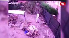 Puf i zniknął. Na swoim własnym ogródku.