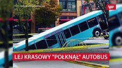 Kierowca stanął na światłach. Już z nich nie ruszył