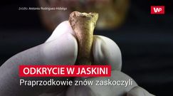 Zajrzeli do jaskini. Odkrycie znów zaskoczyło naukowców