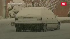 Martwe ryby na plaży. Sztorm Gloria w Hiszpanii