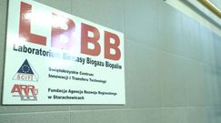 WP Express [cały odcinek]