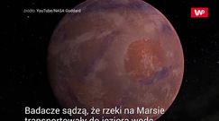 Słona woda na Marsie. Nowe wnioski z analizy próbek