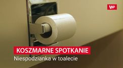 Zajrzał do toalety i zamarł. Już więcej z niej nie skorzysta