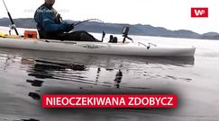 Niecodzienny połów. Ten widok zapamiętają do końca życia