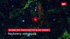 Wybuch Betelgezy możliwy w każdej chwili