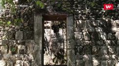 Wielkie odkrycie w dżungli na Jukatanie