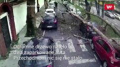 O krok od tragedii. Nagranie z Turcji