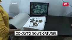 Nowe gatunki odkryte w Birmie