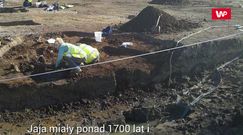 Starożytne śmierdzące bomby