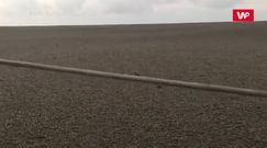 Wpłynęli w morze skał. Wreszcie wiadomo, skąd się wzięły