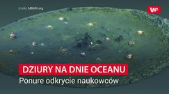 15 tys. dziur w oceanie. Szokujące odkrycie naukowców