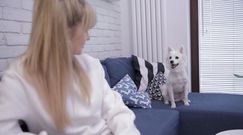 "Poznaj mojego psa!" Guova "Instagram Juki to nasz pamiętnik"