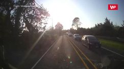 Krowa na gigancie. Kierowca nie wierzył własnym oczom