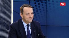 Radosław Sikorski o Krystynie Pawłowicz i Stanisławie Piotrowiczu: nacjonalistka i komuch