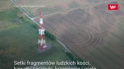 "Polskie Stonehenge". Naukowcy ujawnili, co tam znaleźli