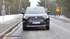 Nowa Toyota RAV4 - Nirvanomobil... odleciałem...
