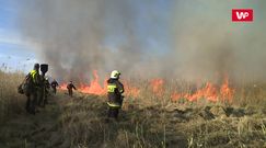 Dramatyczna walka strażaków. Próbują ratować, co się da. "Jest bardzo trudno"