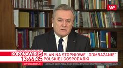 Szczyt zachorowań w maju lub czerwcu? Gliński: spłaszczamy krzywą