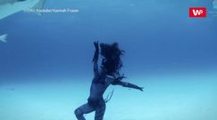 Taniec z rekinami. Niezwykłe wideo zapiera dech w piersiach