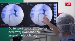 Źródło kamicy nerkowej. Przełomowe badania Japończyków