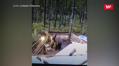 Nie chciała przytyć. Tajemnicę rozwiązała kamera