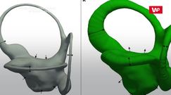 Ewolucja zapisana w uchu. Wielkie odkrycie naukowców