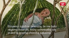 Podbój Ameryki. "Chodziliśmy po trupach". Wszystko zaczęło się od… wirusów