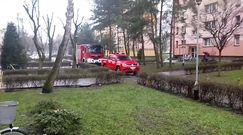 Pożar w Lesznie. Strażacy interweniowali przy ul. Czechosłowackiej
