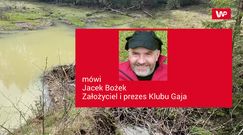 Bobry budują tamy. Zobacz nagranie z lasu w polskich górach