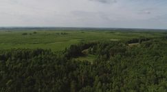 Biebrzański Park Narodowy: unikatowy teren na skalę europejską