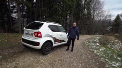 Suzuki Ignis - najdzielniejszy mieszczuch