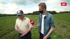 Truskawki od Pana Bogumiła. Odwiedziliśmy wyjątkową plantację