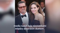 Brad Pitt ma nową partnerkę. Angelina nie jest zadowolona