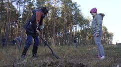 Wirtualna Polska posadziła las. Wielka akcja z fundacją Las na Zawsze