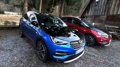 Opel Grandland X Hybrid4 - 300 KM to za mało?