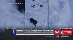 Niedźwiadek na szlaku w Tatrach. Dyrektor TPN: "Niech natura zdecyduje, co robić"