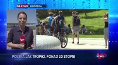 WP News wydanie 17.06, godzina 11:50