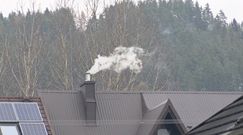 Nowy Targ. Zakaz palenia węglem w centrum miasta