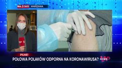 WP News wydanie 19.05, godzina 11:50