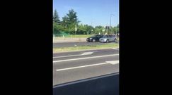 Kierowca SUV-a rozjechał kaczki w Warszawie