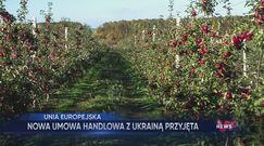 WP News wydanie 15.10